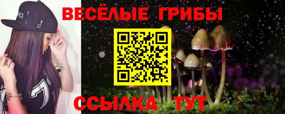 Галлюциногенные грибы мухоморы Елизово