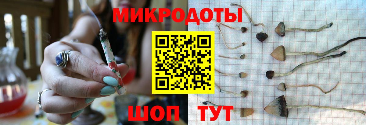что такое наркотик  Псилоцибиновые грибы Psilocybine cubensis  Вход с VPN  Елизово 